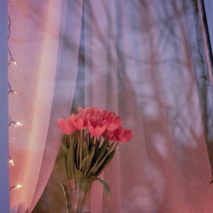 栗子姐经典情感问答,栗子姐每日情感问答