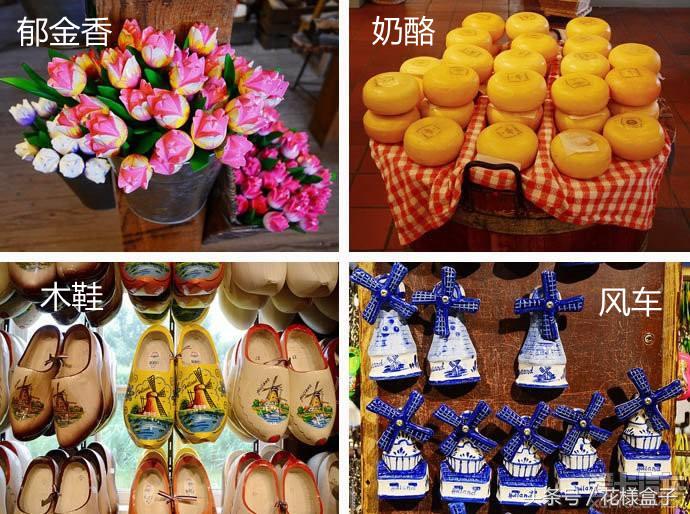 荷兰国花郁金香价格表,荷兰国花郁金香的故事