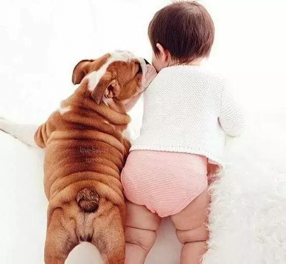 我很丑但是我很温柔是谁谱的曲,我很丑可是我很温柔女生唱