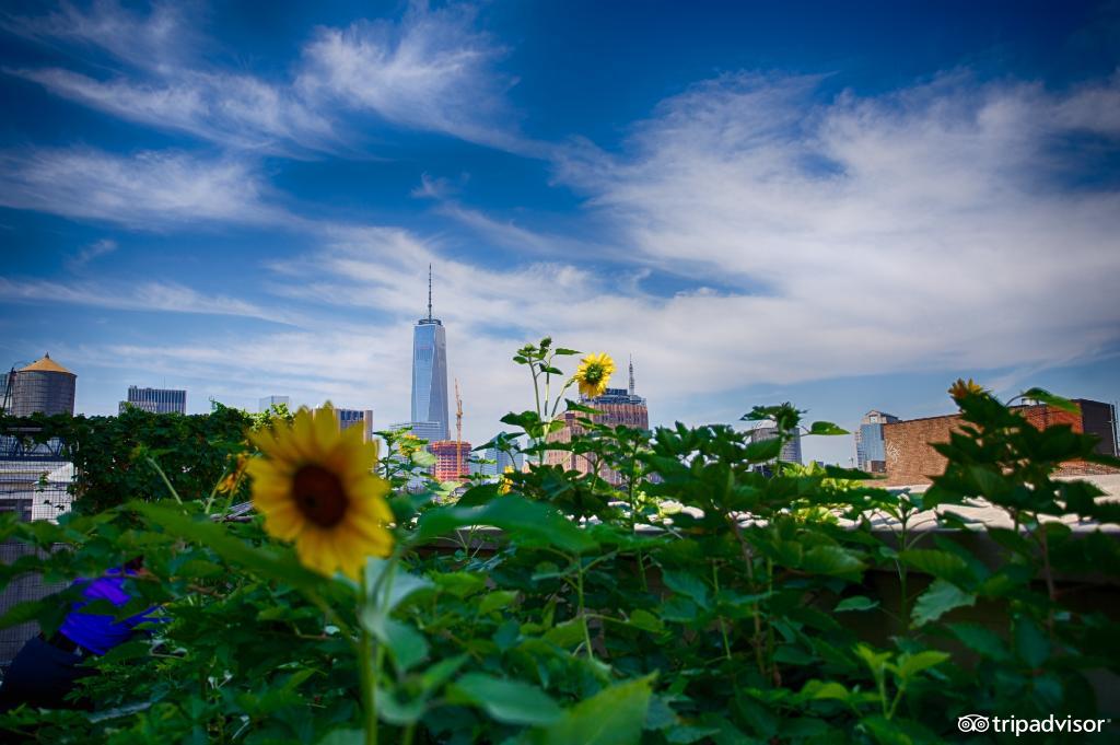 住世界最高的酒店,最好的农家乐住宿