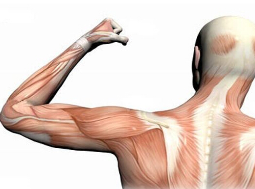 长期缺乏运动对身体的影响,人缺乏运动有什么危险