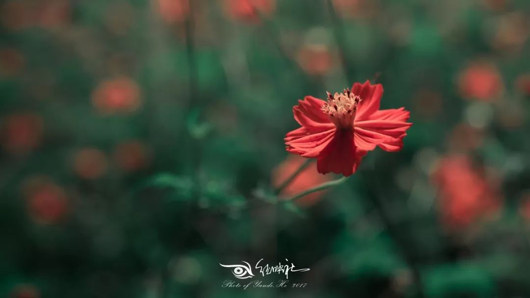 大家对mba的看法,mba为什么那么贵呢