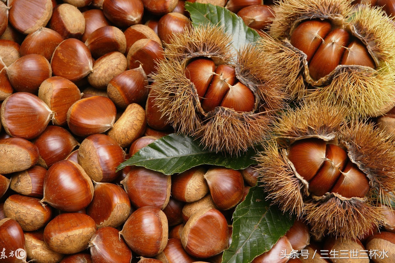 什么零食补叶酸,怀孕后孕妈多吃这六类含叶酸食物