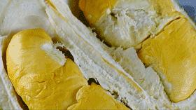 这部汁液四溅的作品勾起了所有人的欲望