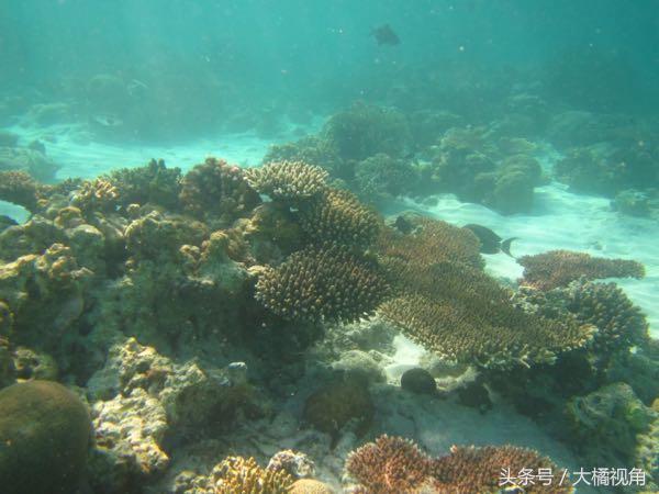 仙本那海岛游玩,仙本那海岛度假