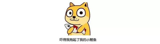 国外宝马3系生产全过程,宝马3系在国外是什么级别的车