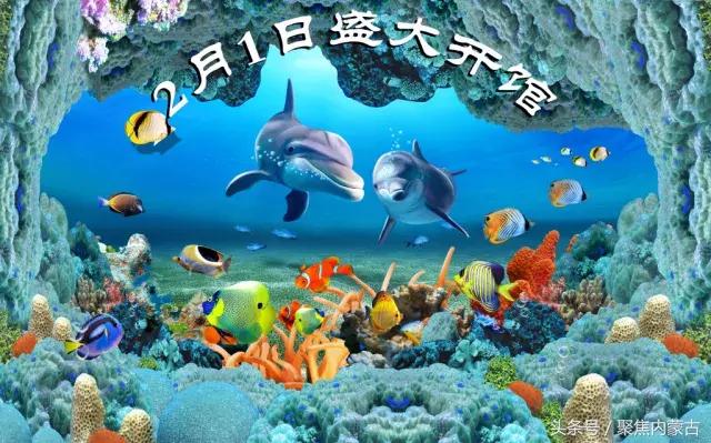 鄂尔多斯海洋馆开放时间,鄂尔多斯海洋馆旅游攻略