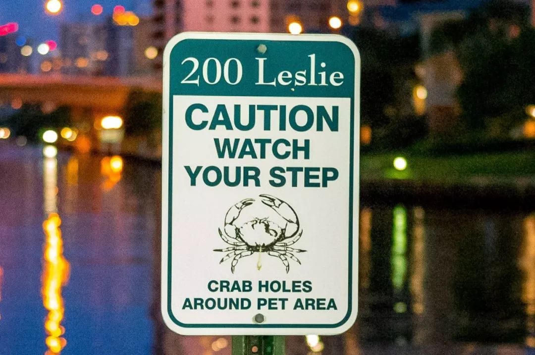 暴走的中画幅LeicaS!底大一级果然压死人……