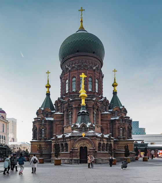 鑷┚娓稿搱灏旀花涔嬪,鑷┚鍝堝皵婊ㄥ啺闆ぇ涓栫晫鏀荤暐