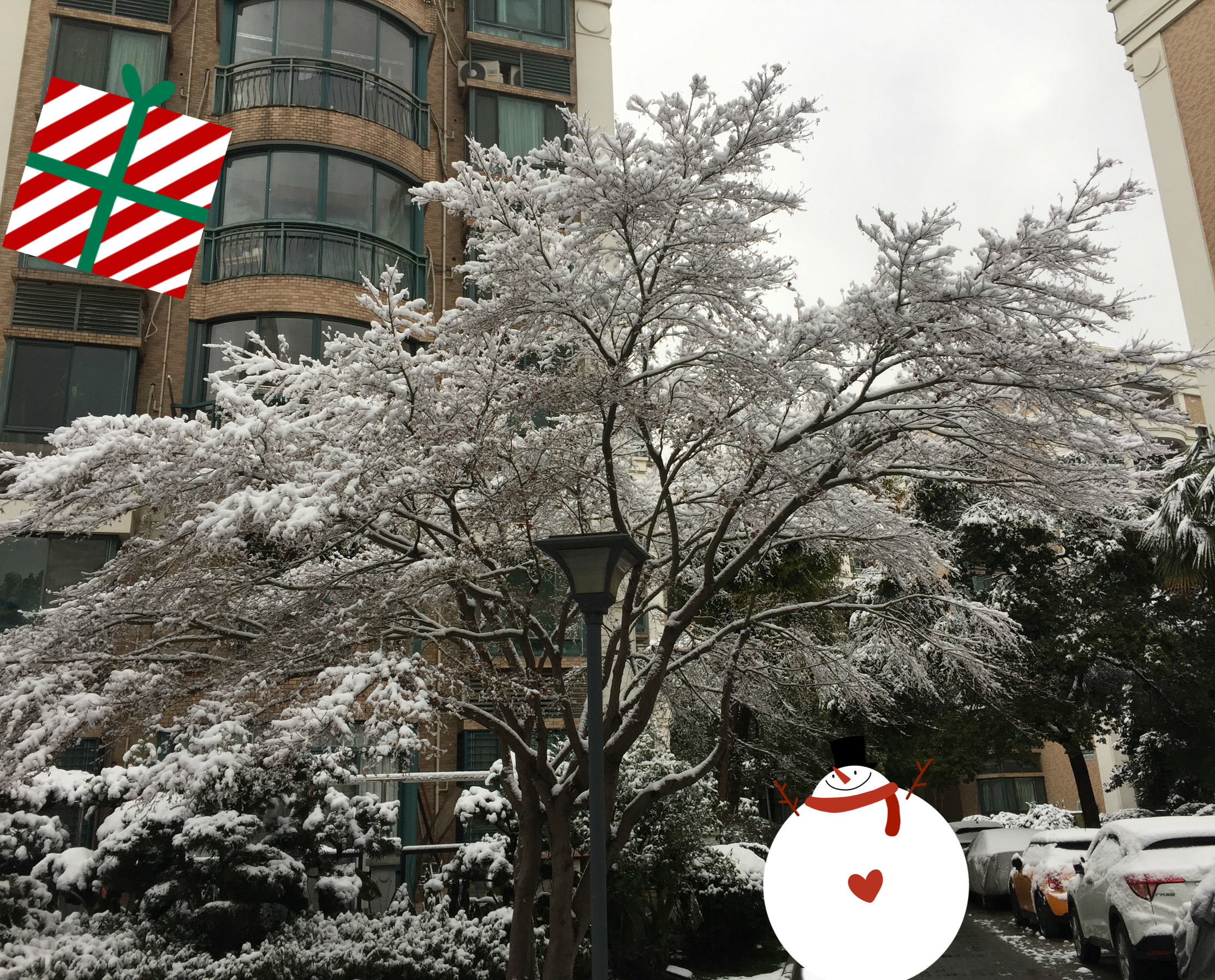 过年给爸妈带点什么好,爸妈过年礼物