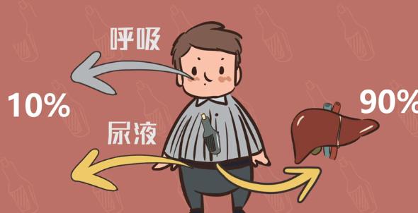 喝酒脸红能喝还是发白能喝,喝酒脸红和喝酒脸白哪种更能喝