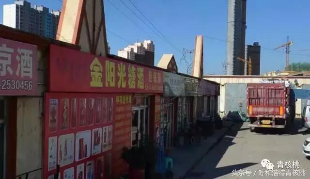 呼和浩特年货必买清单,呼和浩特年货大集指南