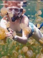 帕劳最新政策消息,帕劳现在怎么样了