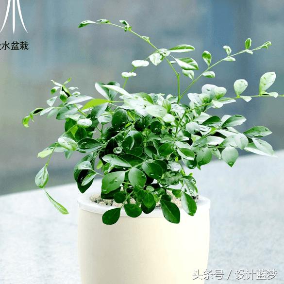 大面积墙面怎么设计好看又省钱,越简单越高级墙面设计