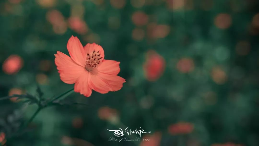 大家对mba的看法,mba为什么那么贵呢