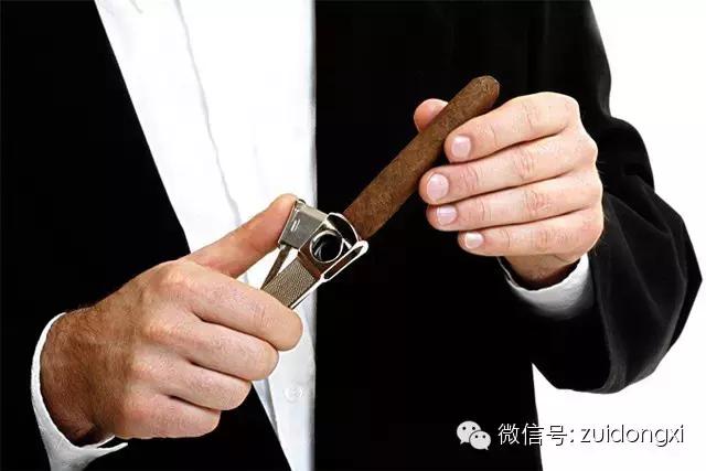 不曾驯服的野性，随风而逝