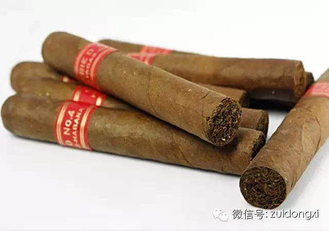 不曾驯服的野性，随风而逝