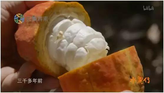 这部汁液四溅的作品勾起了所有人的欲望