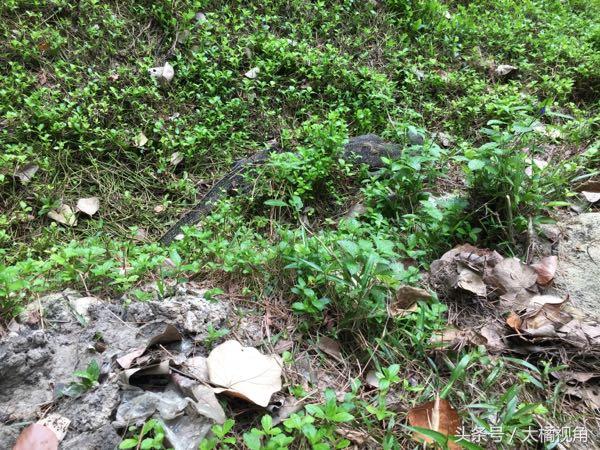 仙本那海岛游玩,仙本那海岛度假