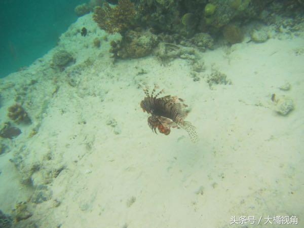 仙本那海岛游玩,仙本那海岛度假