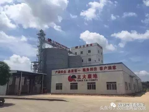 正大康地集团怎么样,正大康地饲料和天津正大哪个好