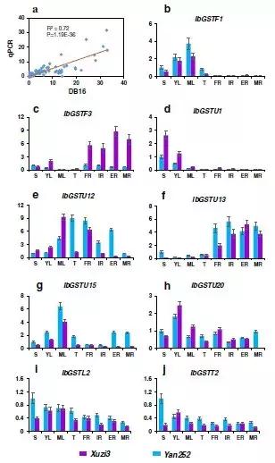 项目和论文不一样的逻辑,项目不同数据不同适合什么图表