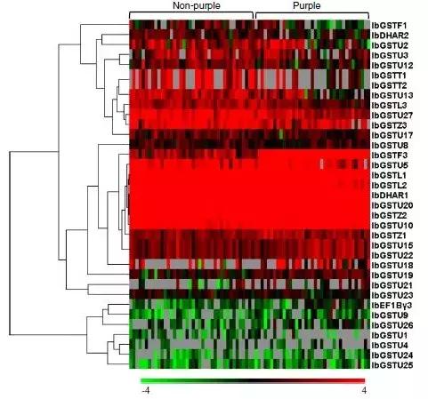 项目和论文不一样的逻辑,项目不同数据不同适合什么图表