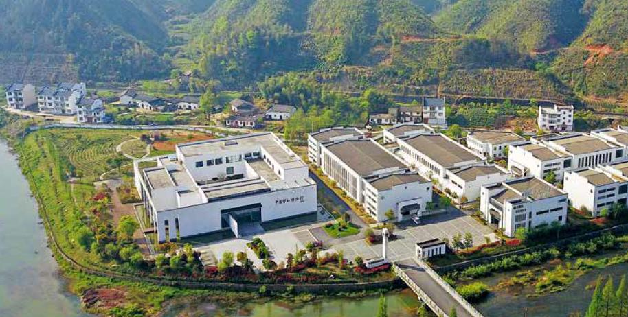 一杯咖啡可以买一斤牛肉,一杯茶可以卖多少钱