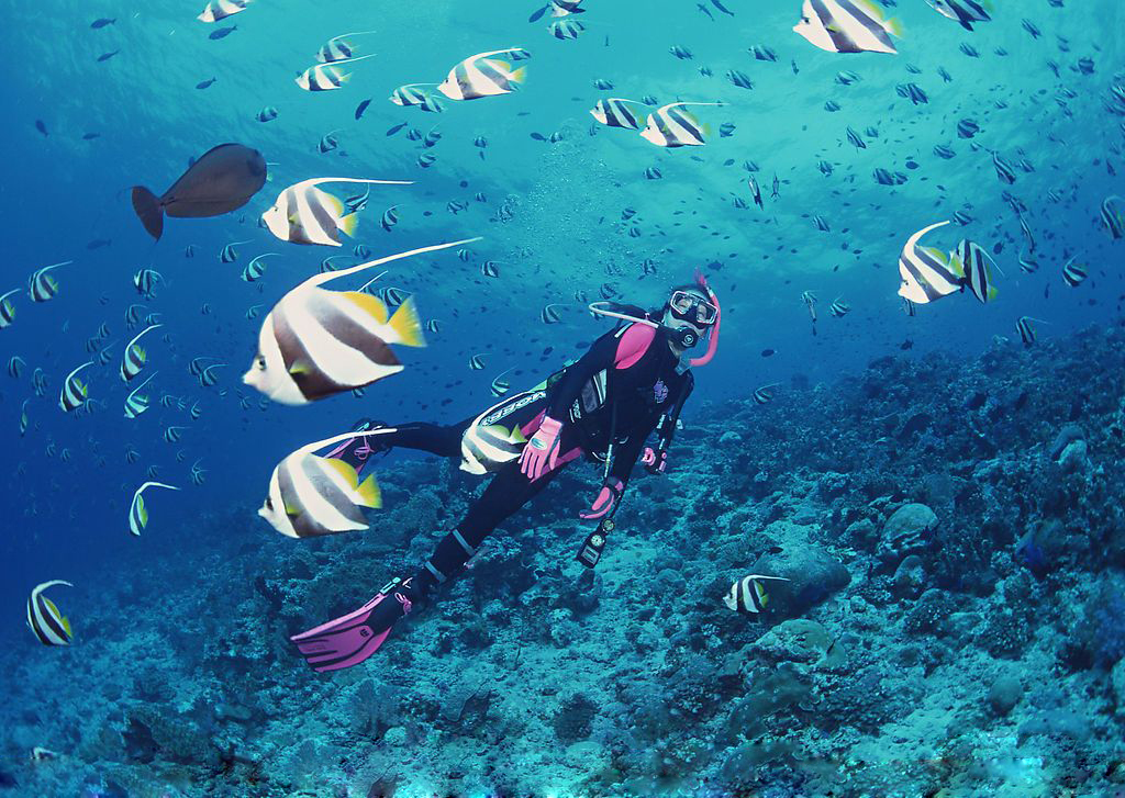 潜水海南三亚,三亚潜水的最佳时间