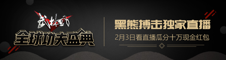 武林风2021年12月5号全球功夫盛典,2014武林风全球功夫盛典1月30日