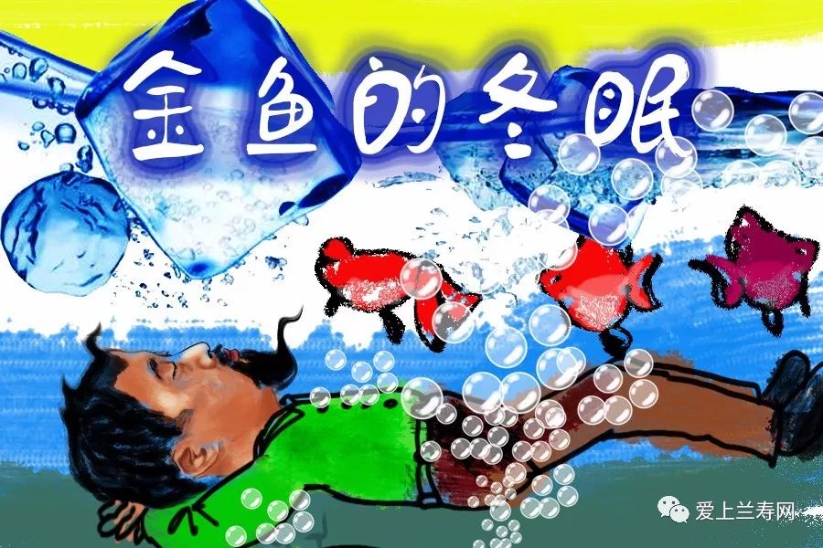 老天聊鱼(第二十一课)说说金鱼冬眠这事儿