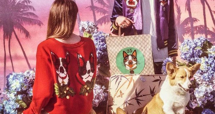 Gucci示范狗年限量，中国生肖正确打开方式！