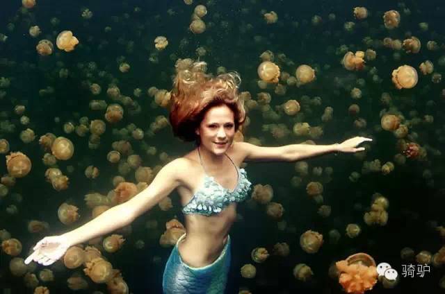 帕劳最新政策消息,帕劳现在怎么样了