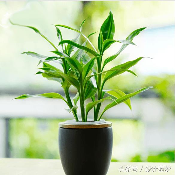 大面积墙面怎么设计好看又省钱,越简单越高级墙面设计