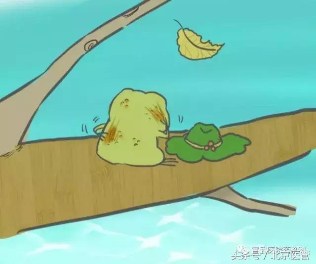 蛙行千里母担忧的说说,蛙行千里母担忧现在怎么样了