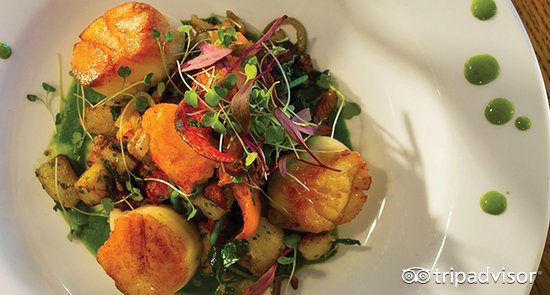 住世界最高的酒店,最好的农家乐住宿