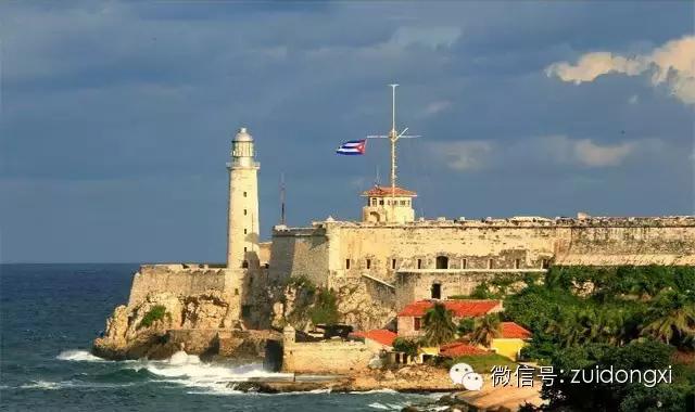 不曾驯服的野性，随风而逝