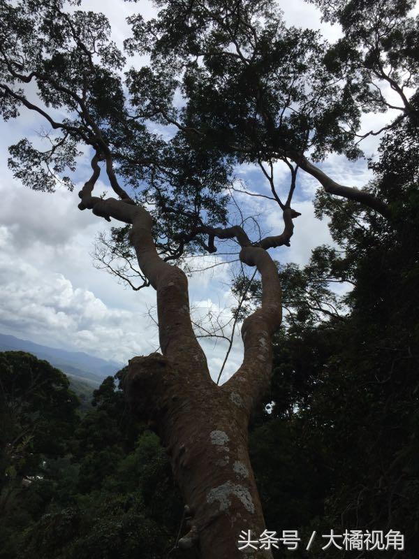 仙本那海岛游玩,仙本那海岛度假