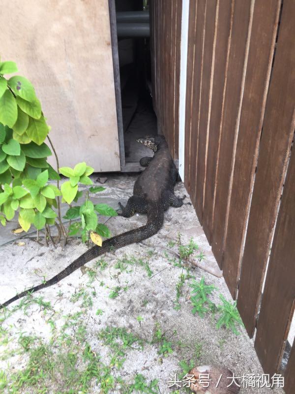 仙本那海岛游玩,仙本那海岛度假