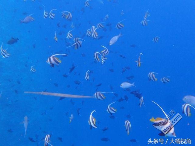 马尔代夫梦境岛,马尔代夫dream