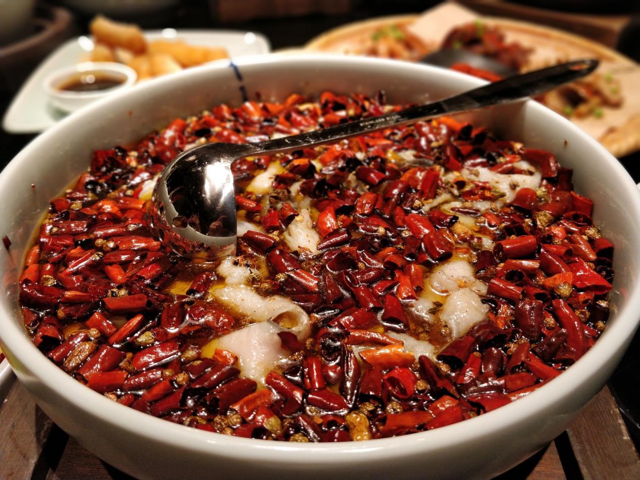 石家庄荣鼎ZooMall“吃货”齐聚，与萌宠和美食完美邂逅！