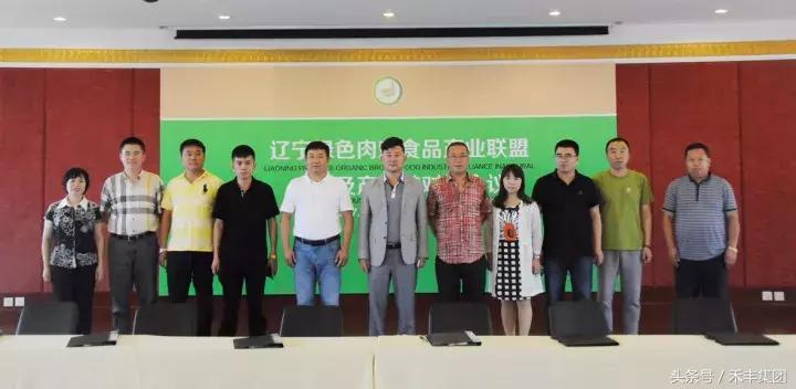 开封禾丰白羽肉鸡苗,禾丰白羽肉鸡排名