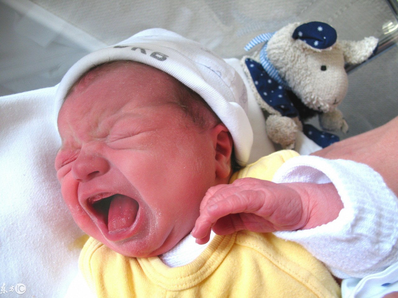 幽默育儿笑话,育儿幽默搞笑的段子