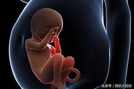 猪如何人工授精,人工授精是如何实现的