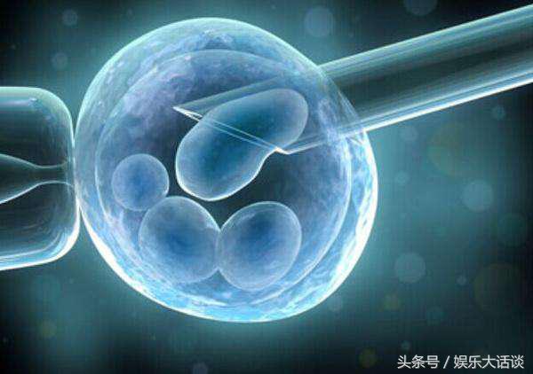 猪如何人工授精,人工授精是如何实现的