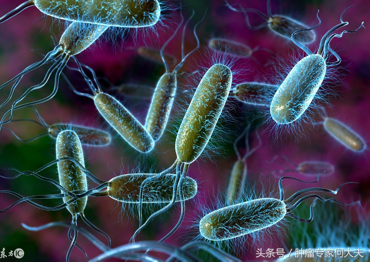 粪便移植可以治疗肠癌吗,粪菌移植治疗肠癌