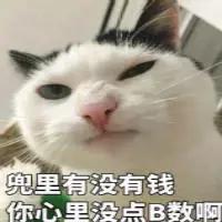 社保在天府新区两年可以在哪买房,成都高新区户口可以在郫县买房