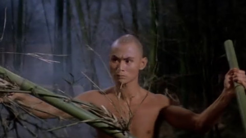 电影少林寺1982免费完整观看,100部经典少林寺老电影