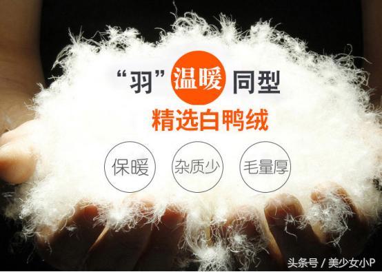 怎么鉴别羽绒服的好坏,羽绒服上哪儿鉴定真假呢