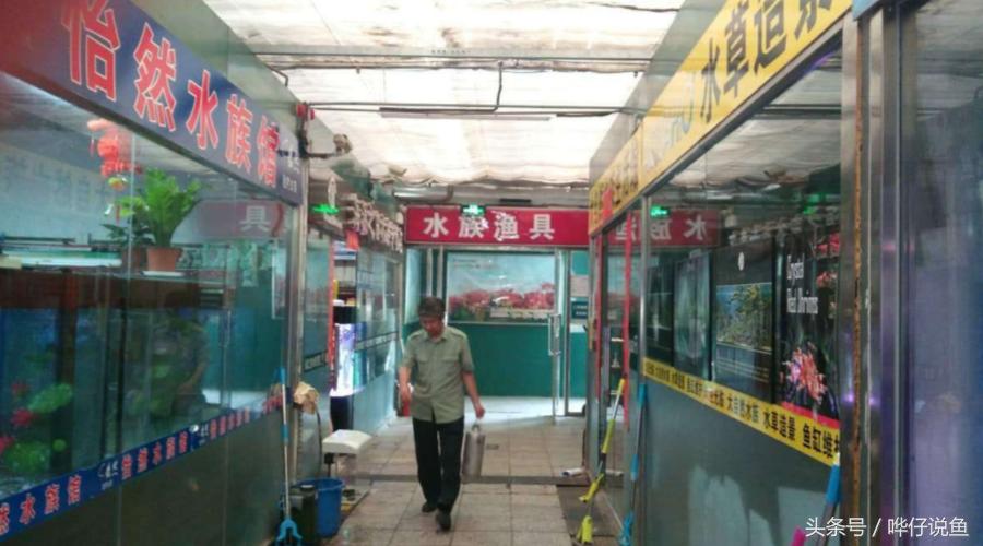 《告水族行业从业人员书》——奇妙的水族店，猥琐的水族店